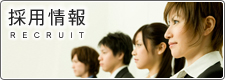 採用情報