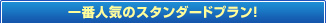 ��Ԑl�C�̃X�^���_�[�h�v�����I