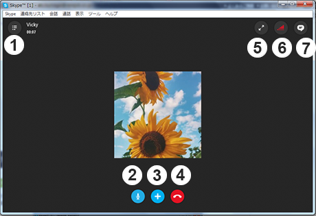 Skype通話中画面